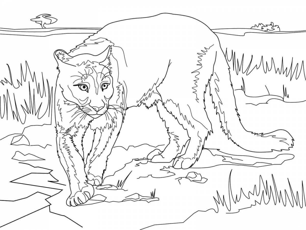 Adorable puma coloring book for kids