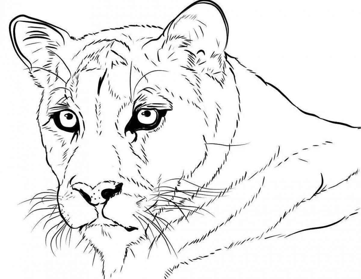 Funny puma coloring book for kids