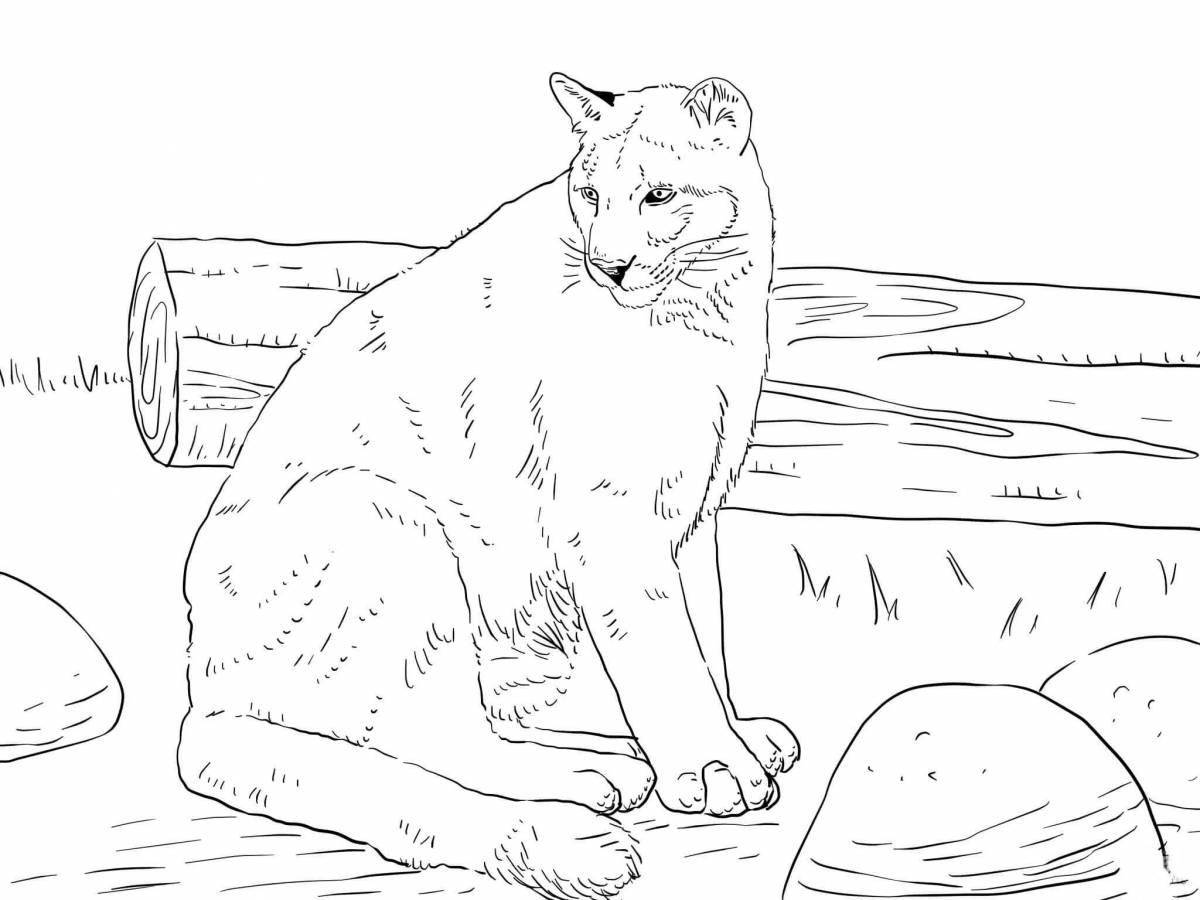 Fabulous puma coloring page for kids