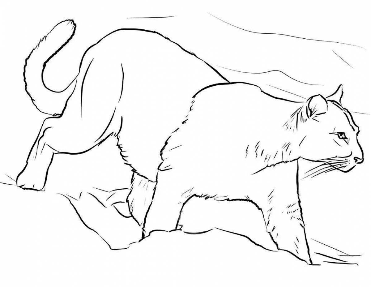 Incredible puma coloring book for kids