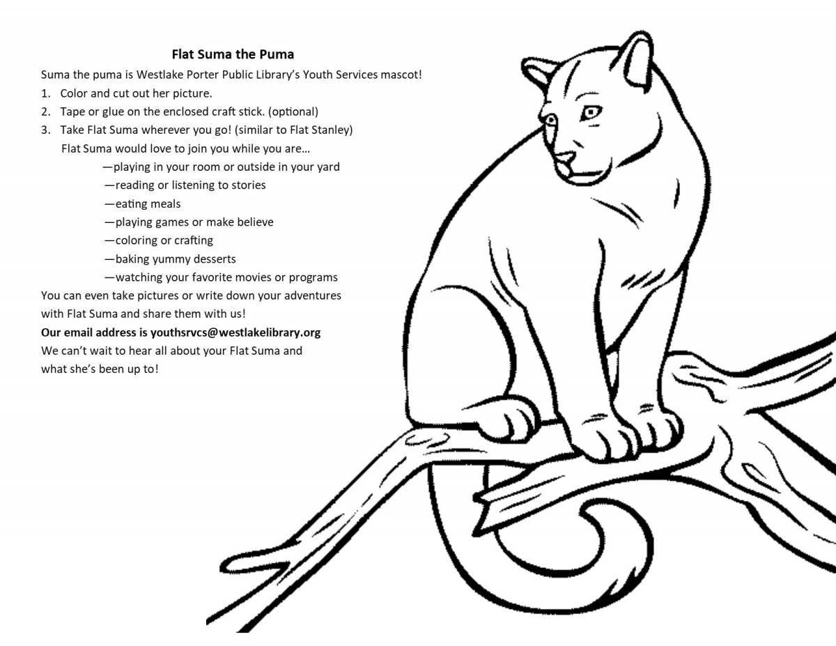 Great puma coloring book for kids