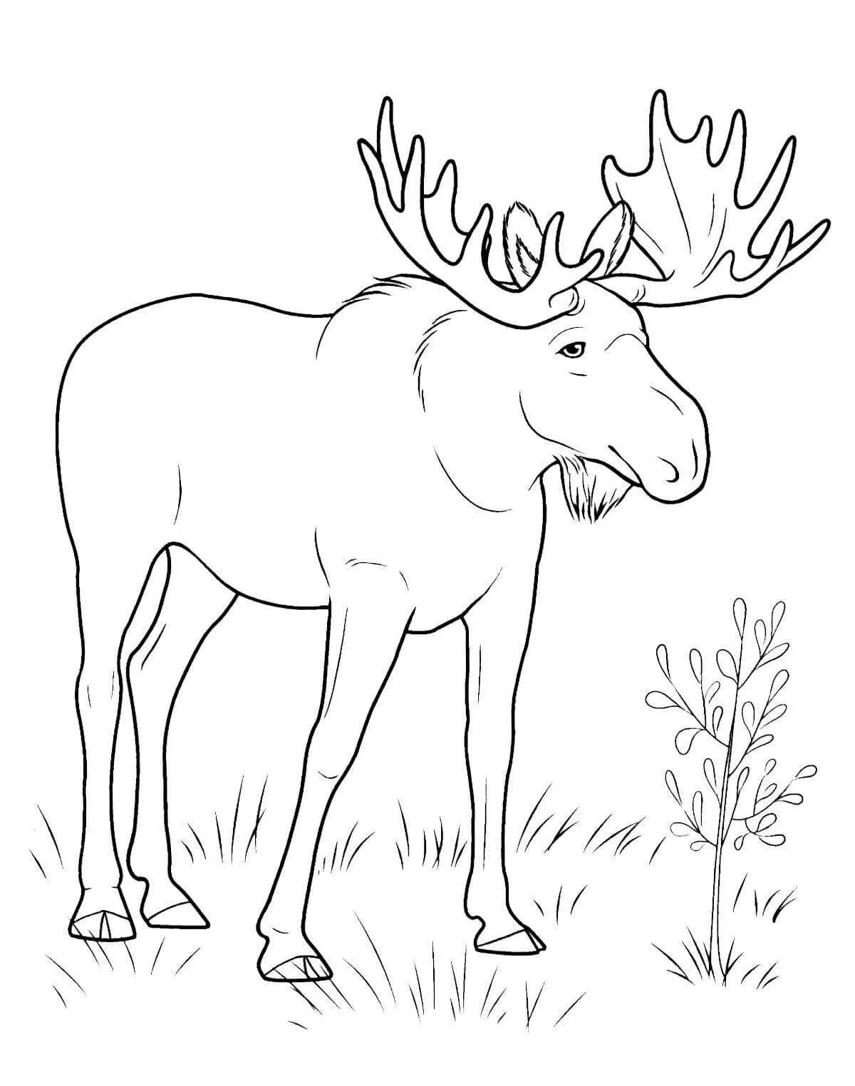 Magic forest animals coloring page for kids