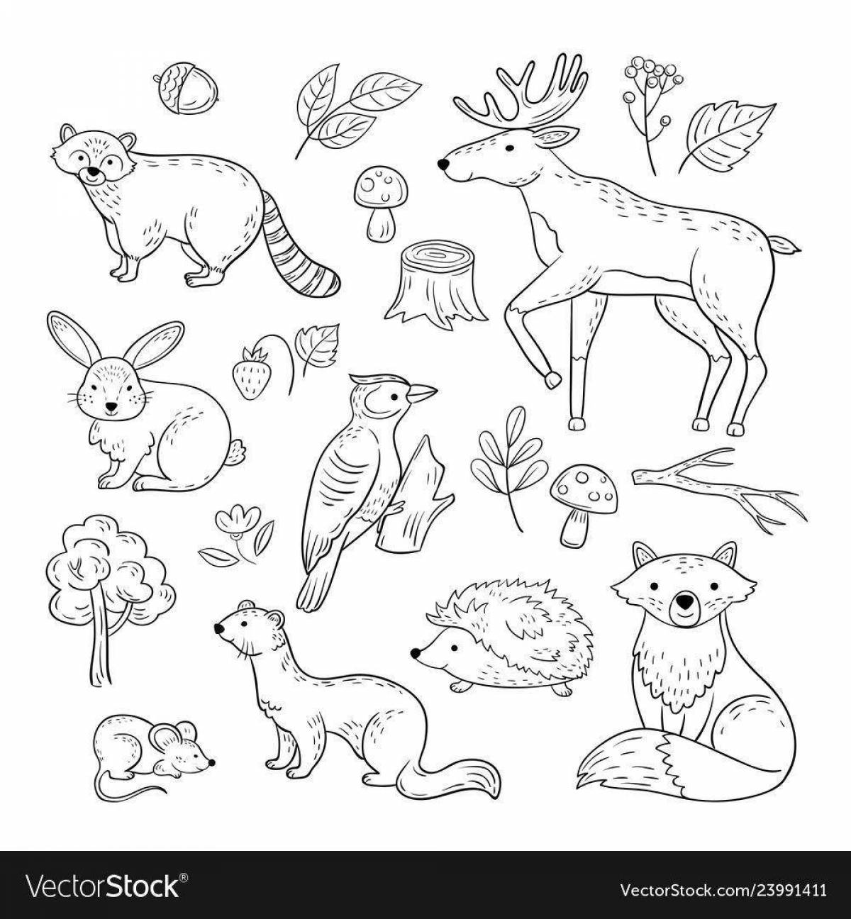 Playable forest animal coloring for kids