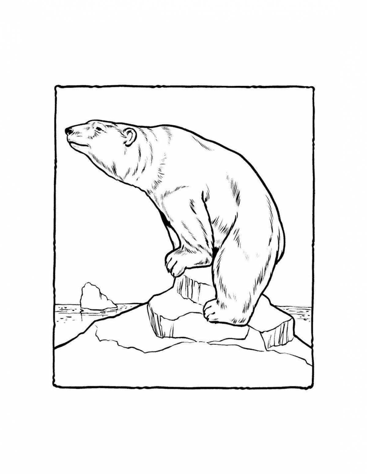 Joyful polar bear coloring for preschoolers