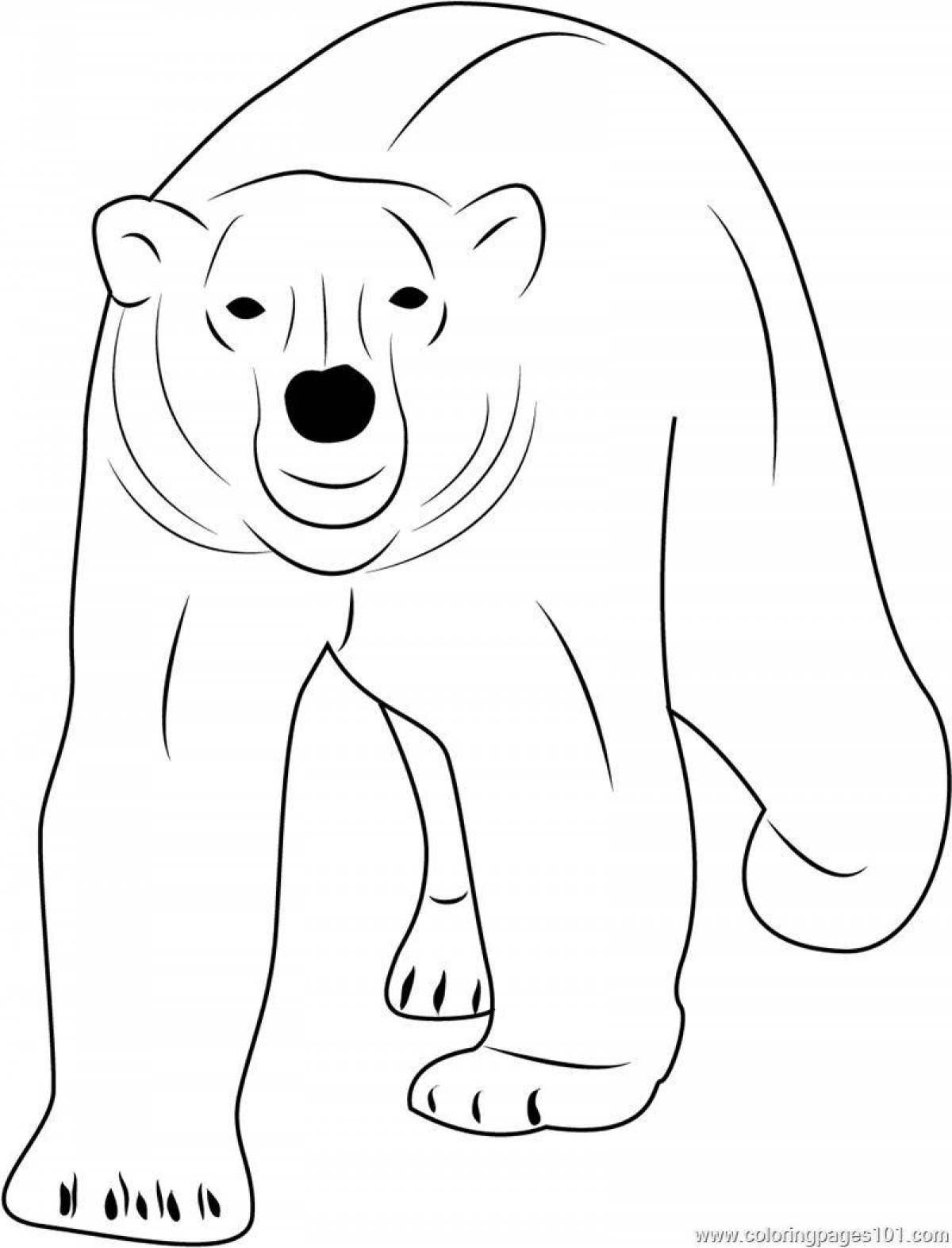 Милая раскраска белого медведя для дошкольников