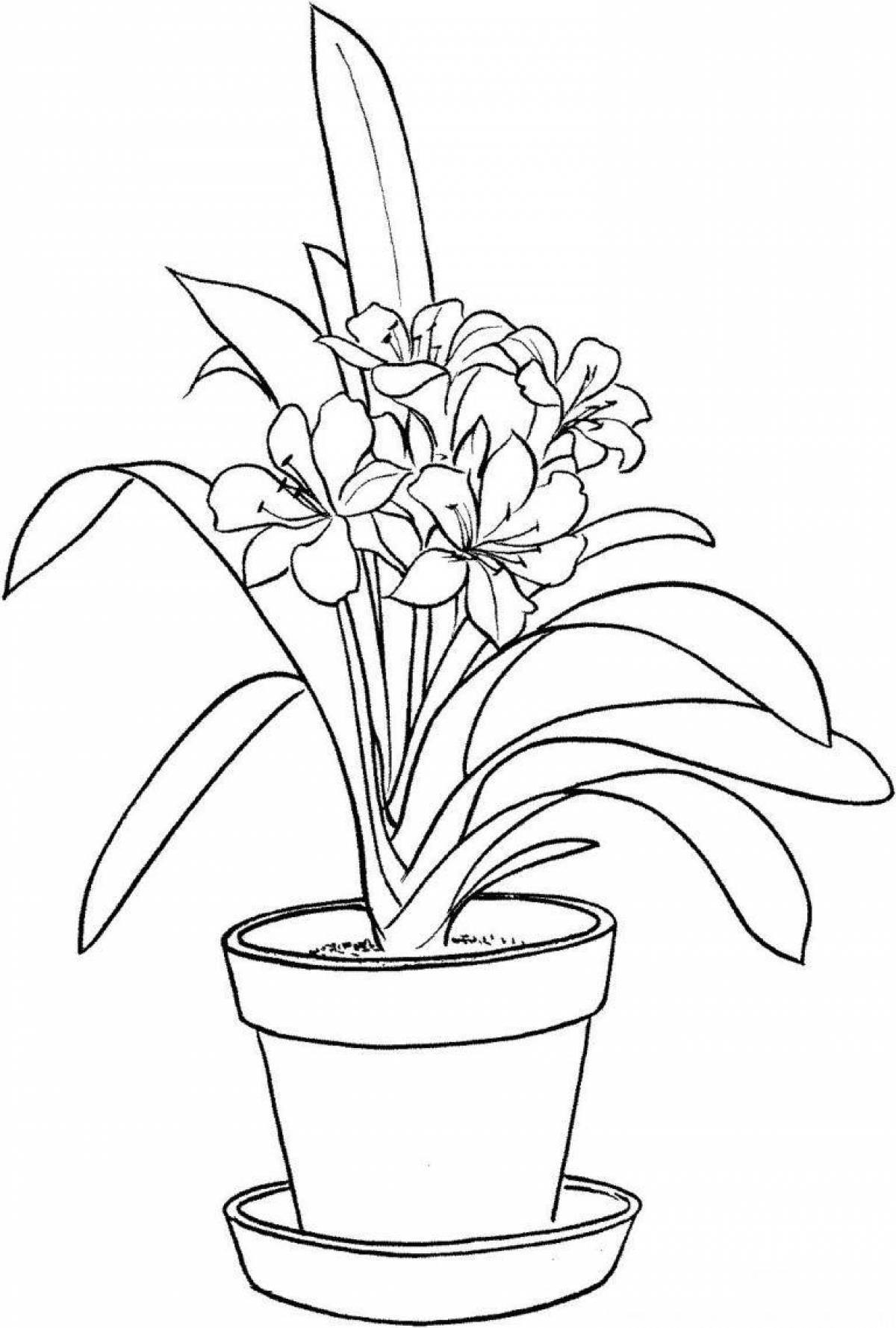 Sparkling potted flowers coloring book for teens