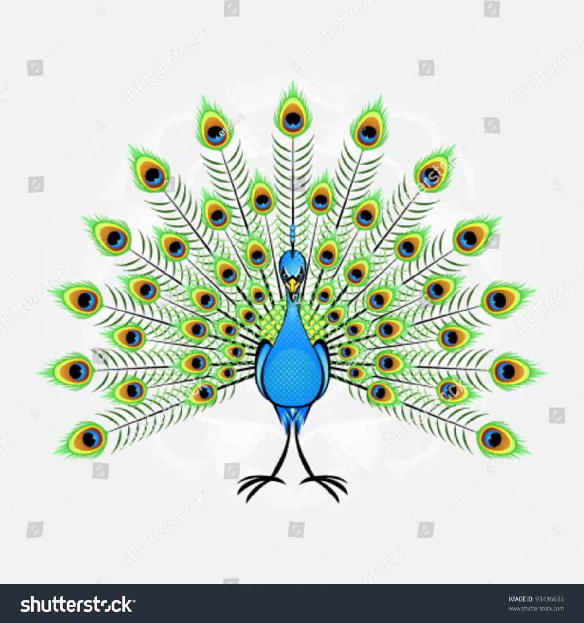 Greatly shaded peacock with loose tail for children