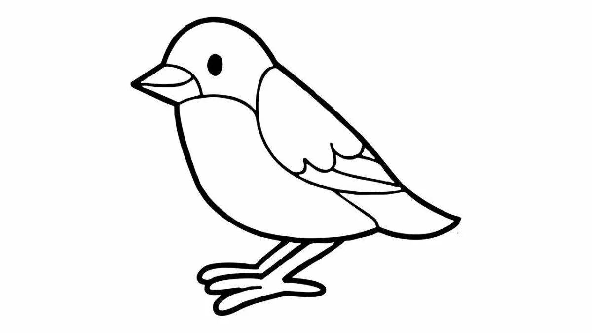 Playful sparrow coloring book for 2-3 year olds