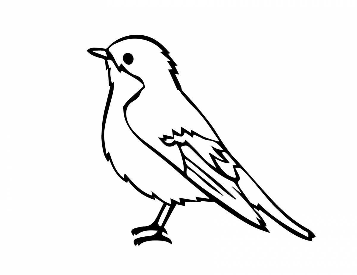 Coloring sparrow for children 2-3 years old