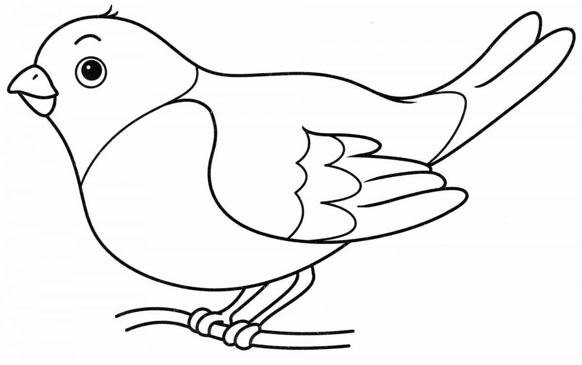 Colorful cute sparrow coloring book for kids 2-3 years old