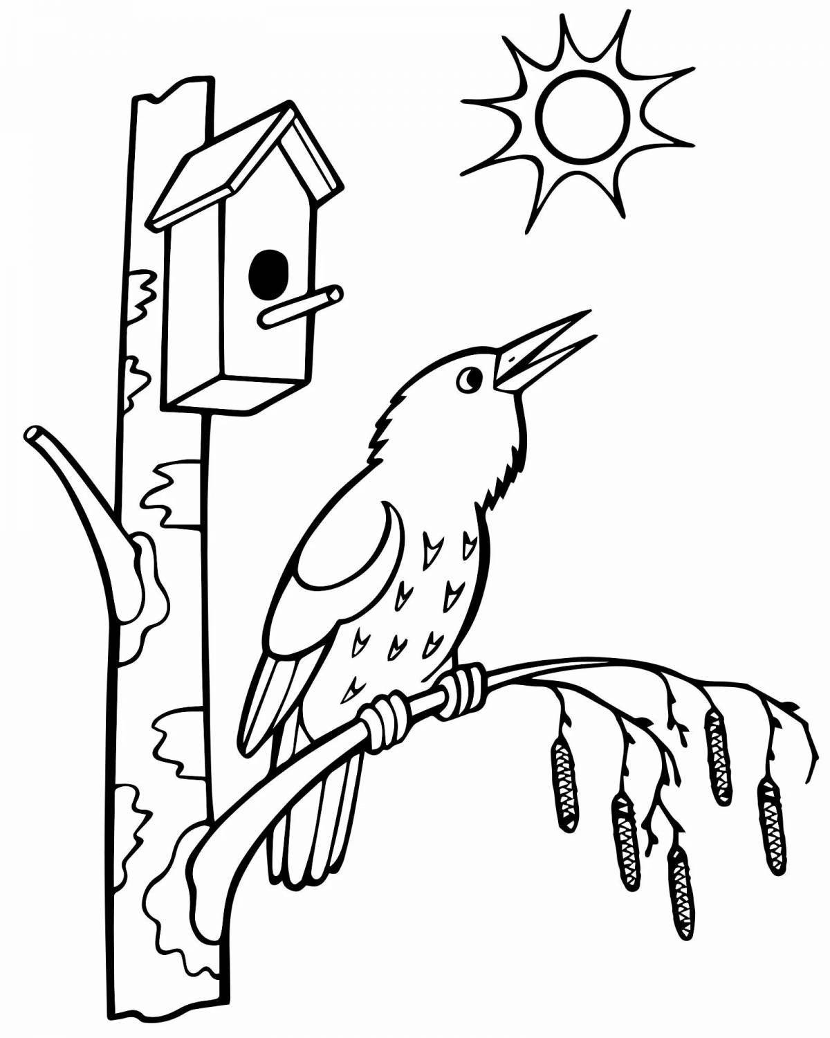 Colorful birdhouse coloring page for 3-4 year olds