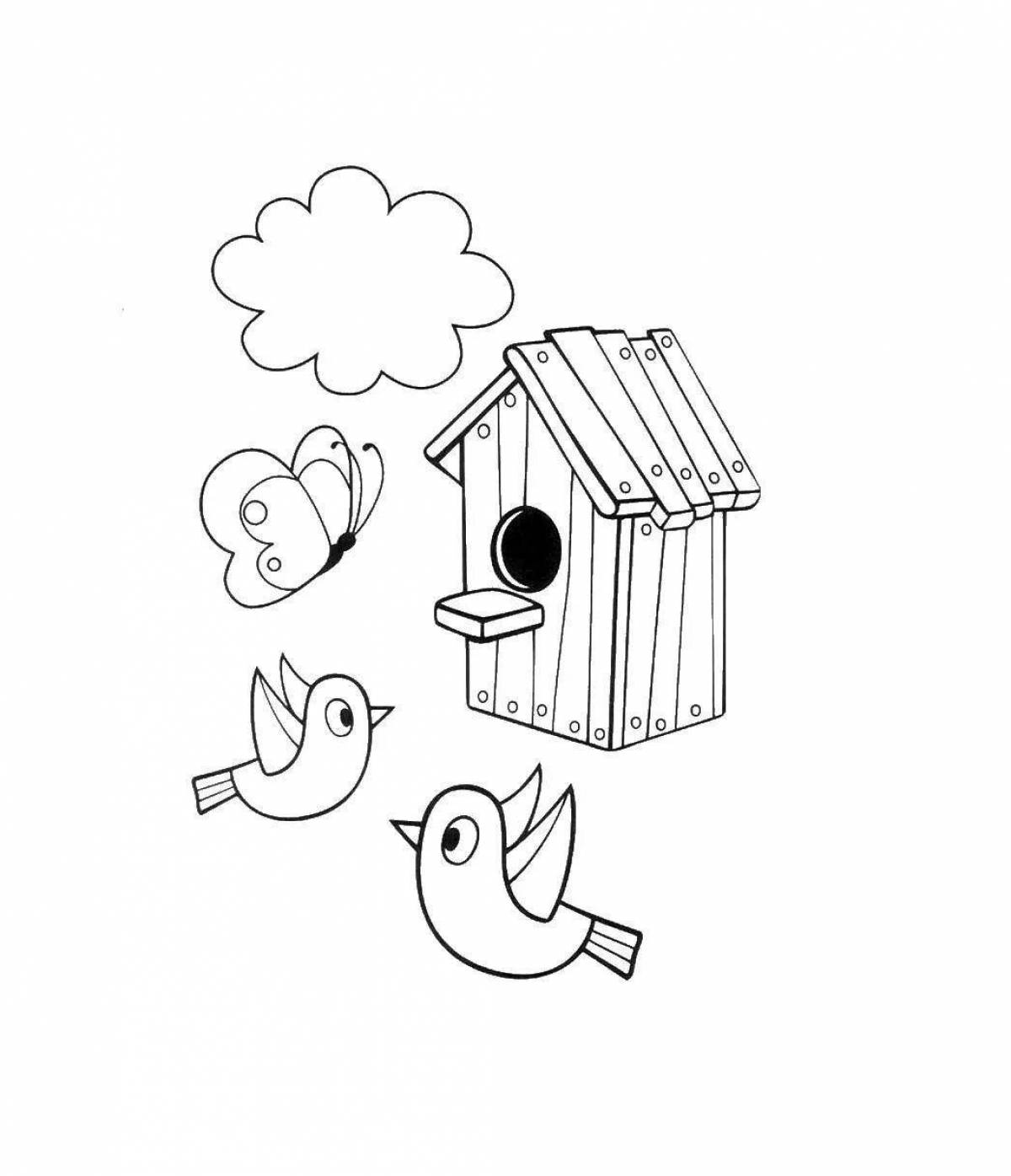 Great birdhouse coloring book for kids 3-4 years old