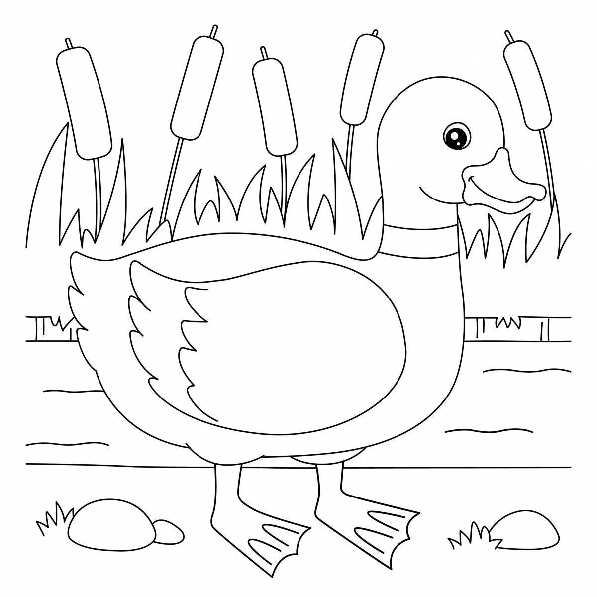 Photo Coloring book joyful duck for children 3-4 years old