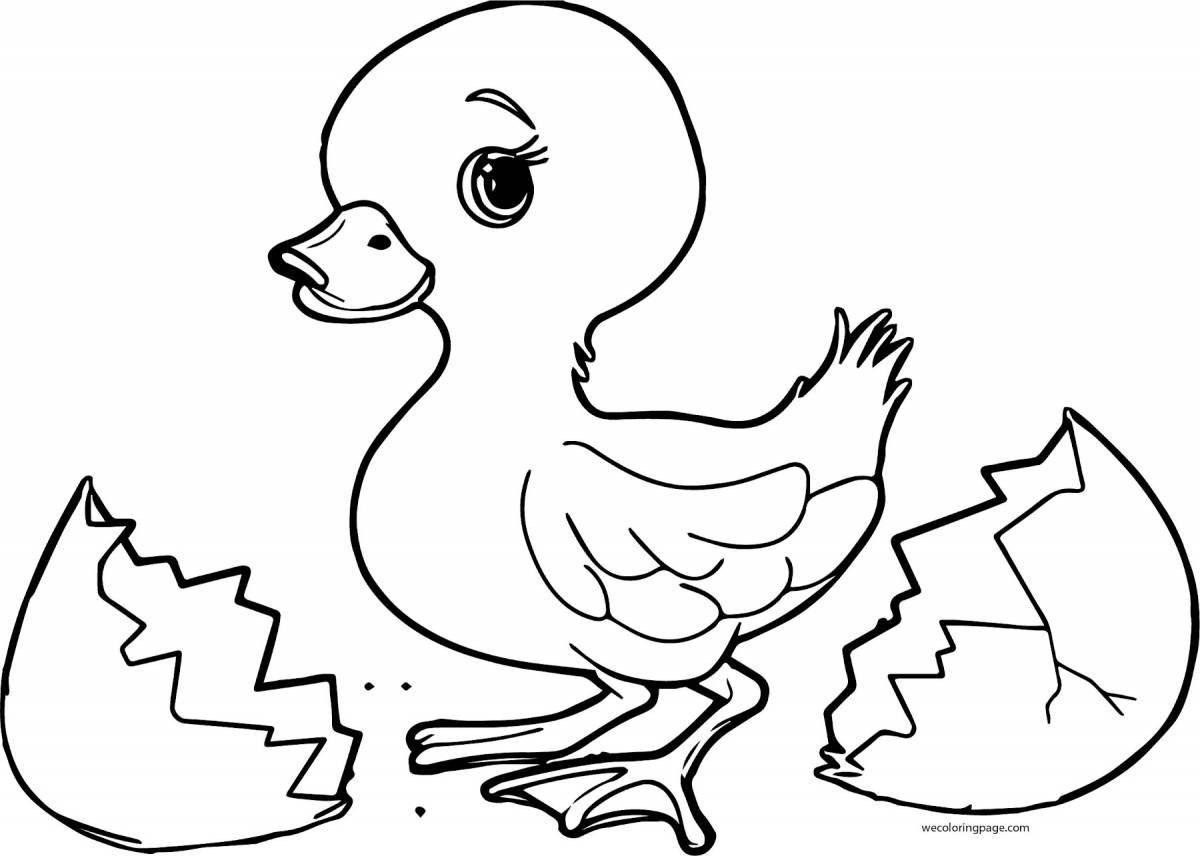 Colored explosive duck coloring book for children 3-4 years old