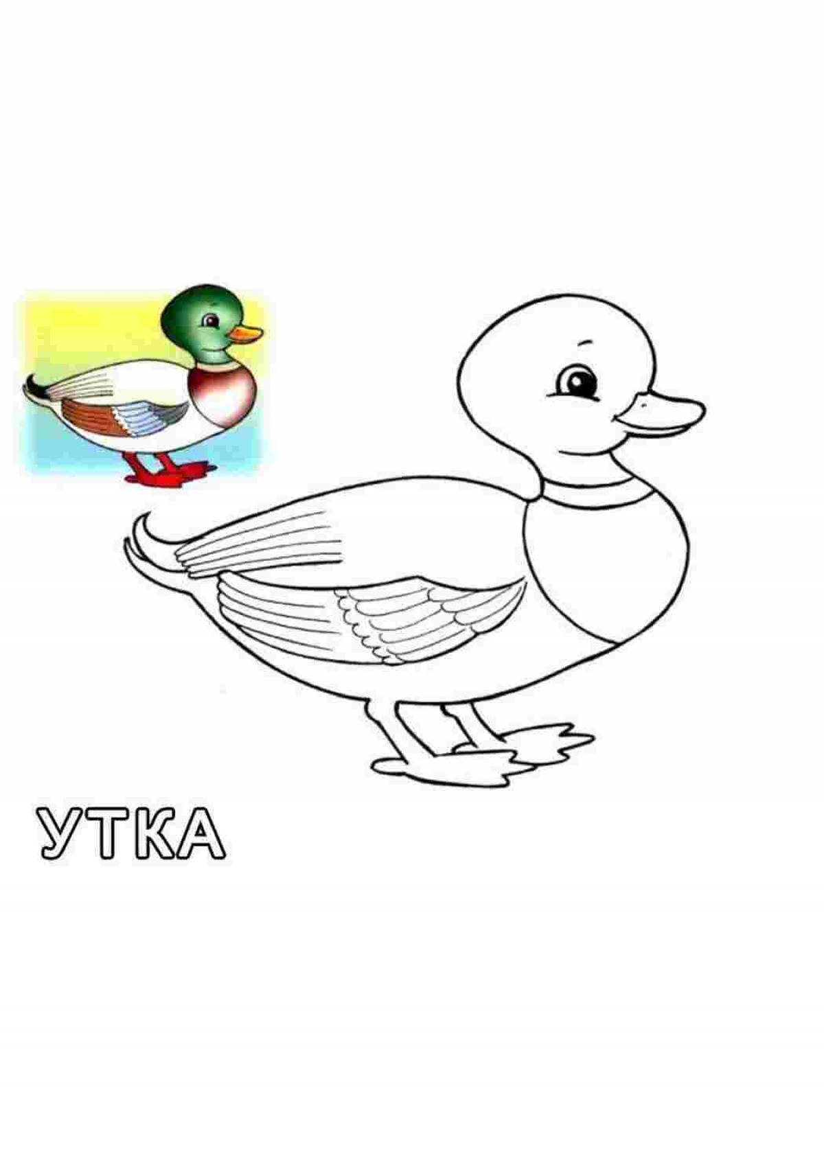 Photo Duck for children 3 4 years old #4