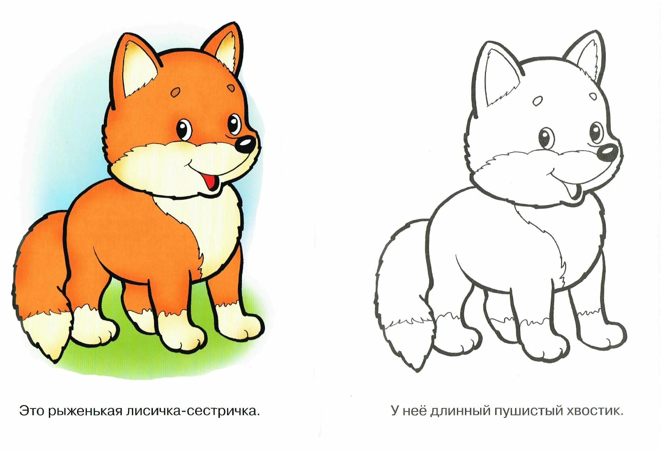 Glamorous fox coloring book for children 2-3 years old