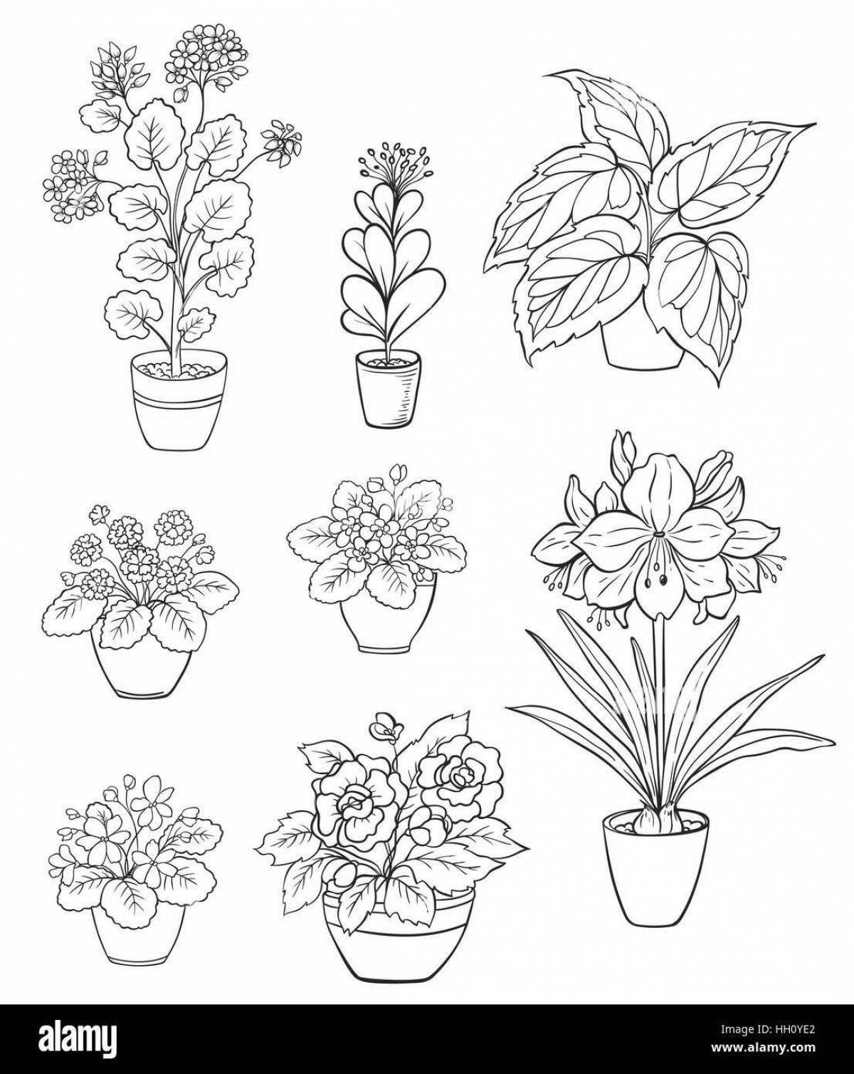 Entertaining houseplant care for children