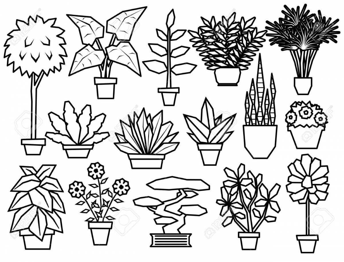 Interactive houseplant care for kids