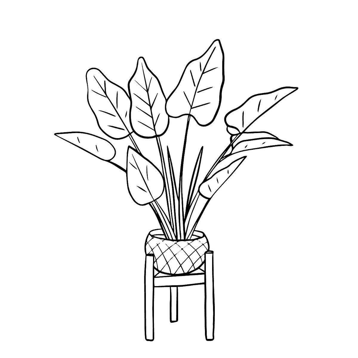 Colorful houseplants coloring page for 3-4 year olds