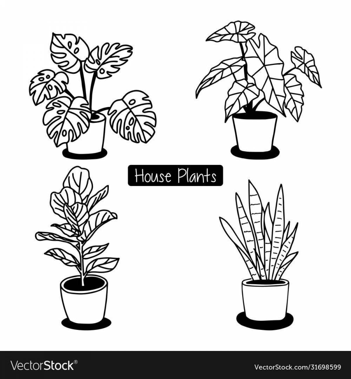Colorful houseplants coloring book for 3-4 year olds