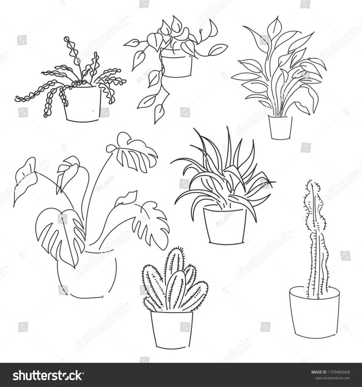 Color explosion of indoor plants coloring pages for 3-4 year olds