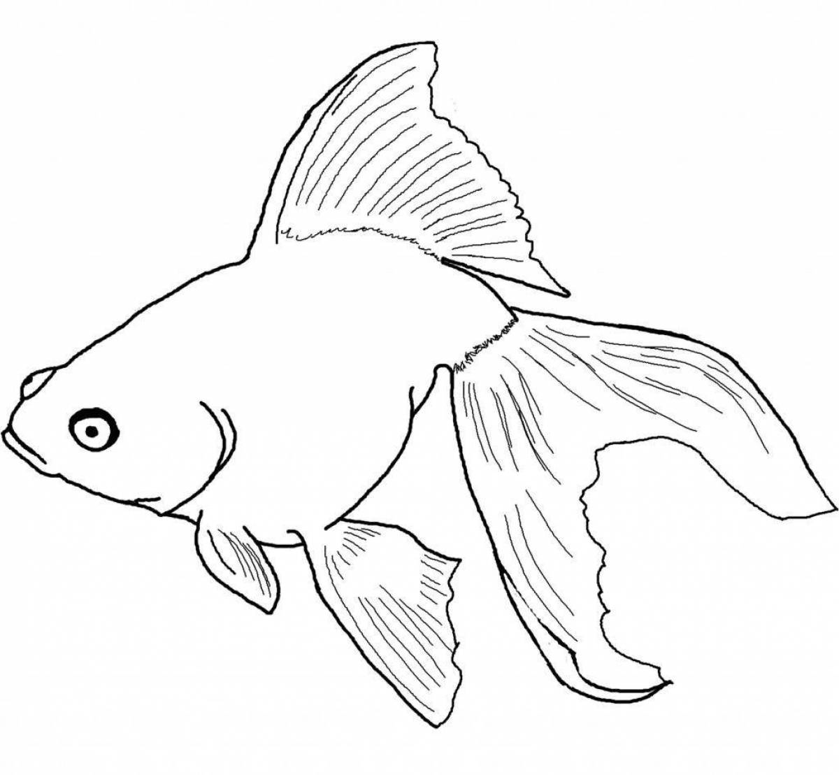 Сладкая золотая рыбка-раскраска для детей 3-4 лет