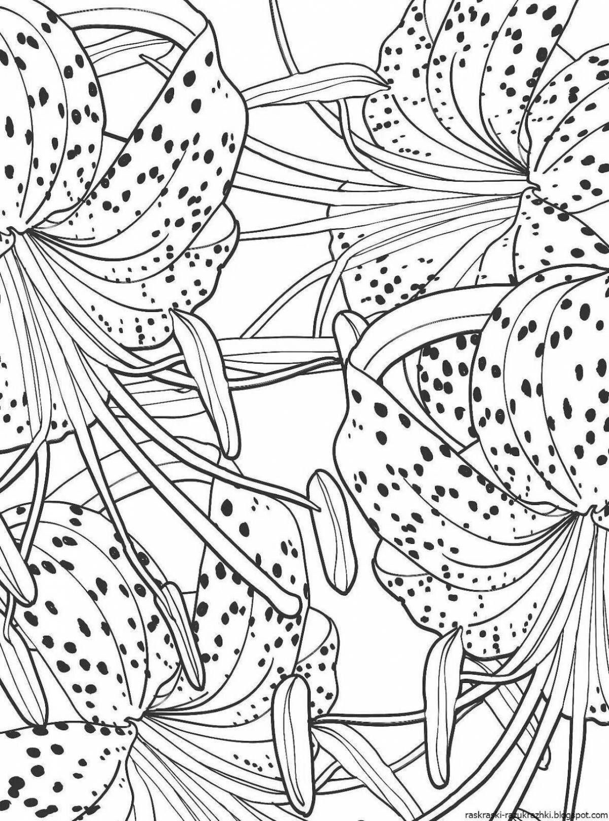 Joyful coloring by numbers for adults en antistress