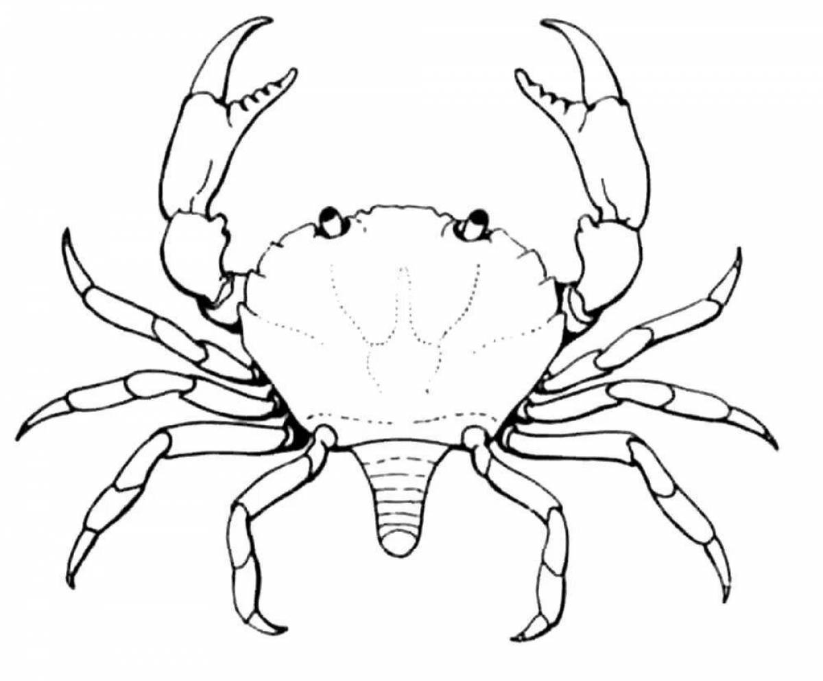Краб рисунок для детей раскраска
