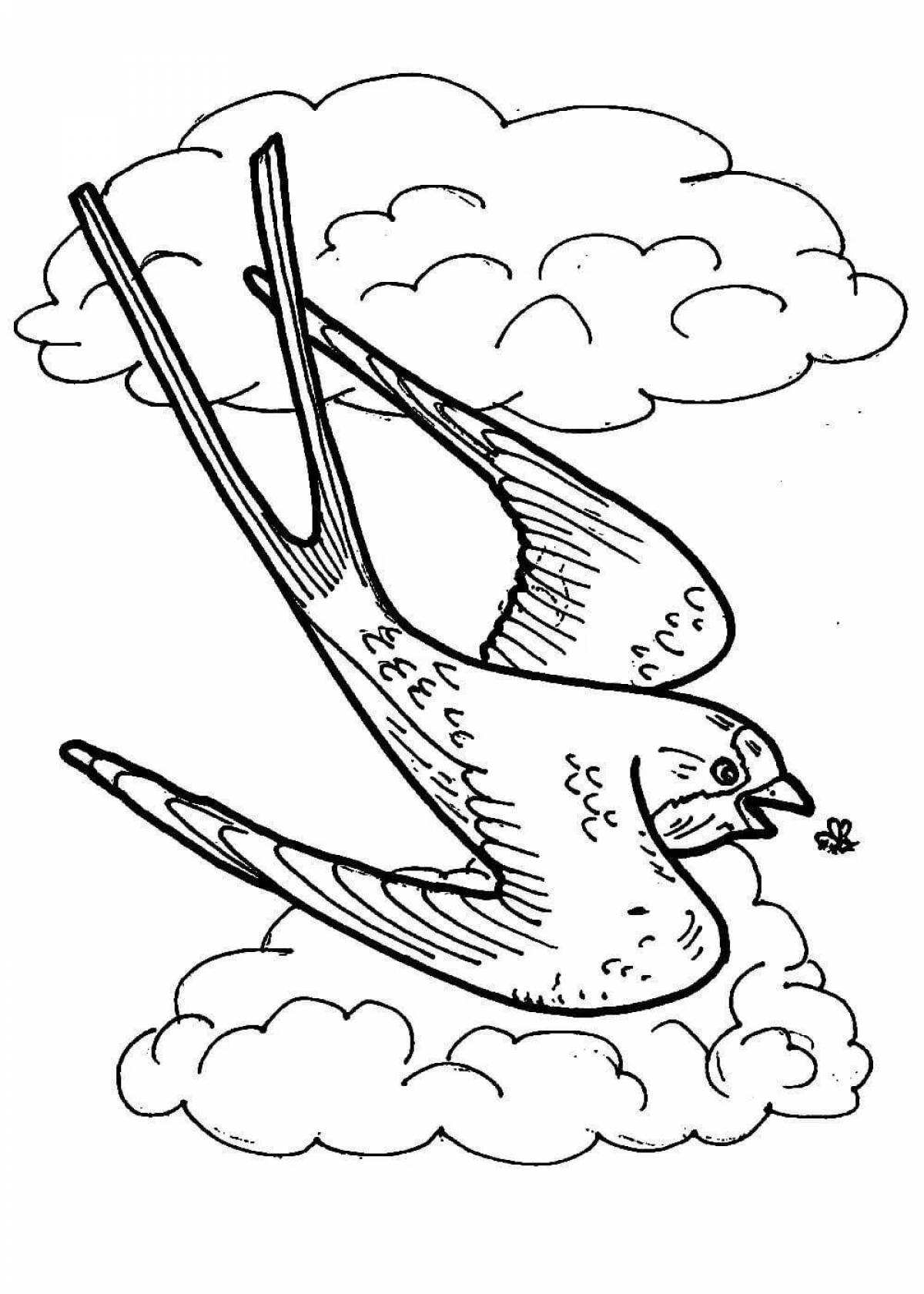 Coloring pages of migratory birds for kids