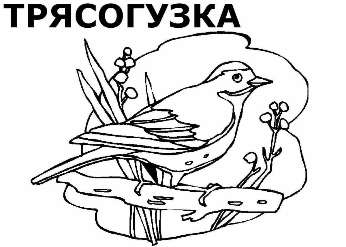 Bright migratory birds coloring pages for children 5-6 years old
