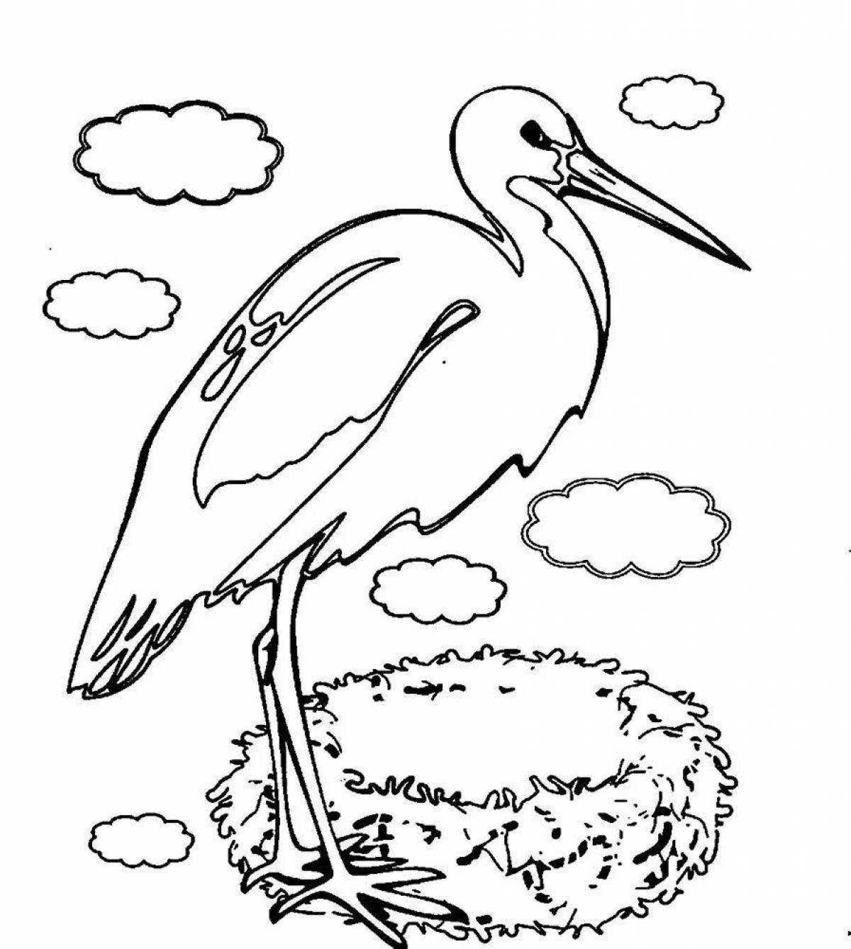 Funny migratory birds coloring pages for children 5-6 years old