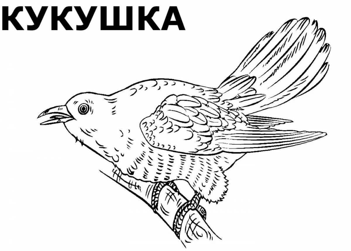 Первая иллюстрация к книге Раскраска. Перелетные птицы