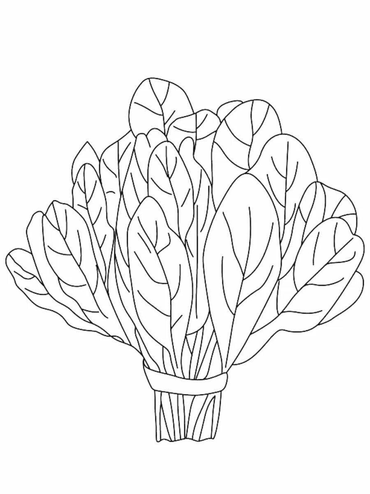 Colorful sorrel coloring page for kids