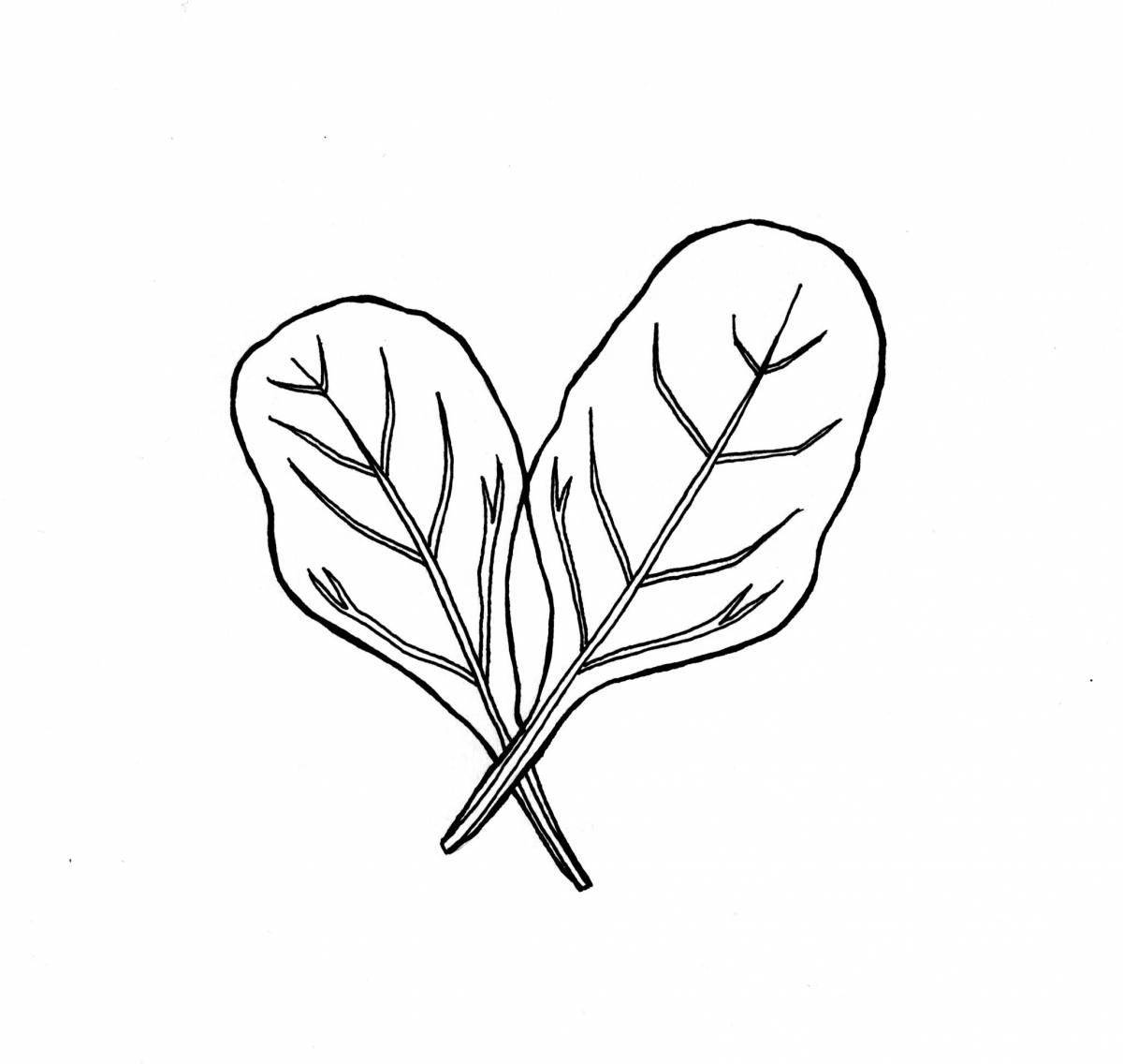 Sorrel fun coloring for babies