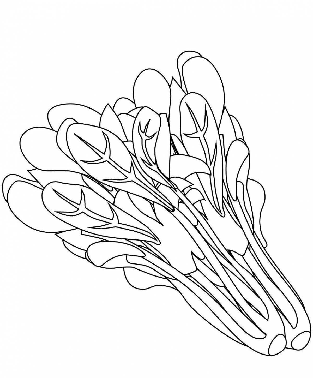 Fun sorrel coloring for kids