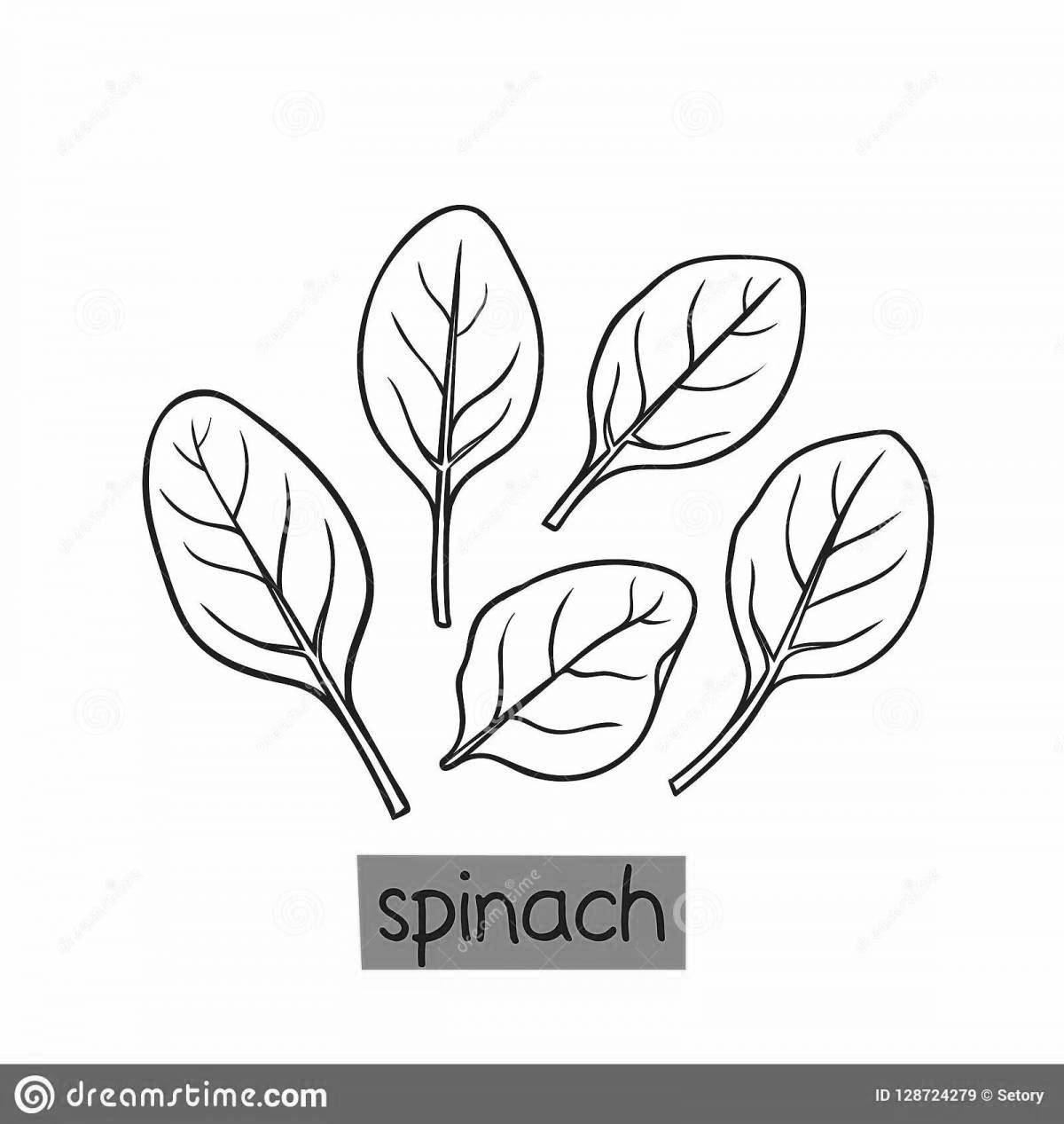 Adorable sorrel coloring page for students