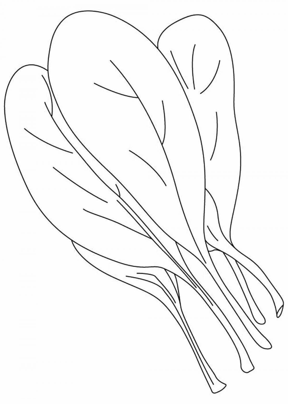 Sorrel Magnificent Coloring Page for Students