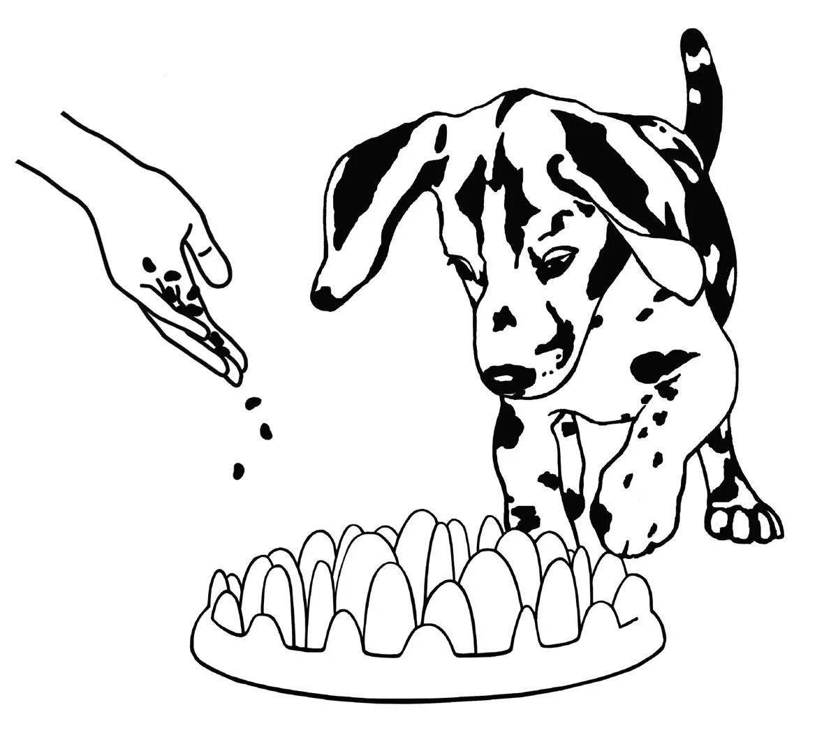 Раскраска глянцевая миска для собак