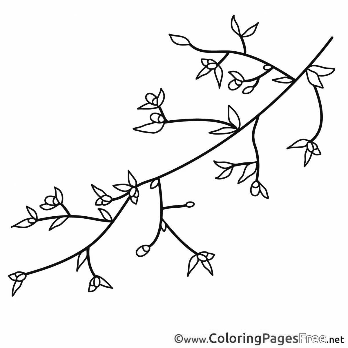 Colorful branch coloring book for kids