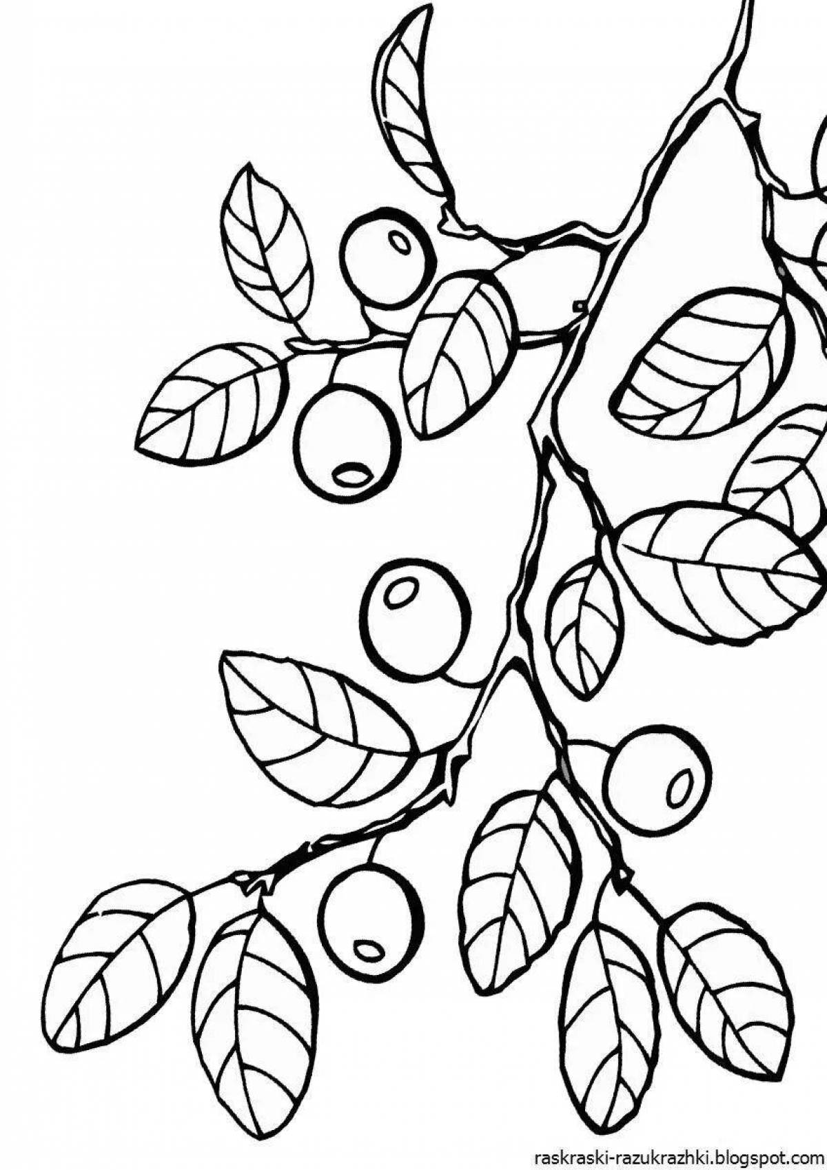 Great branch coloring book for kids