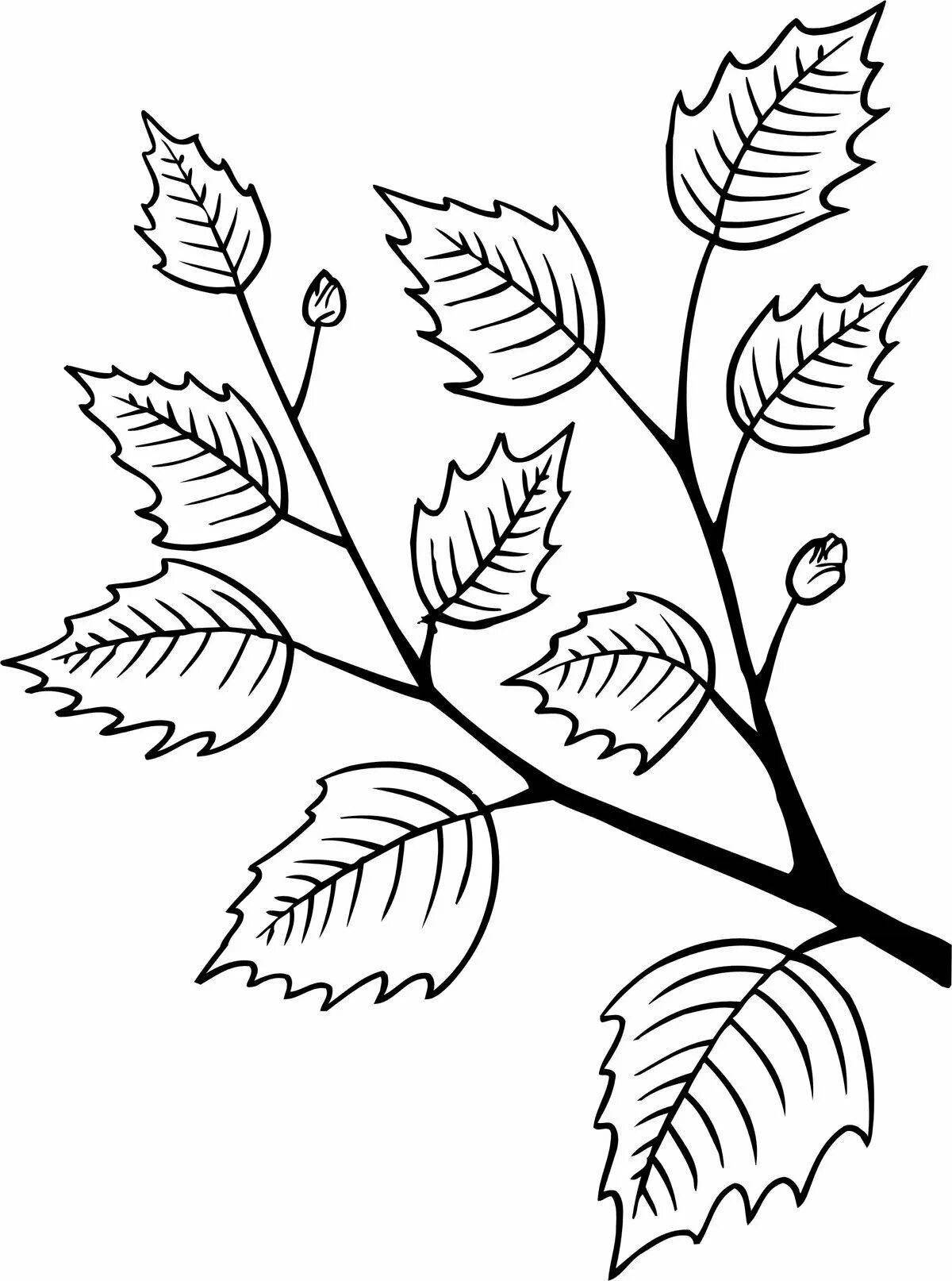 Exquisite coloring branch for kids