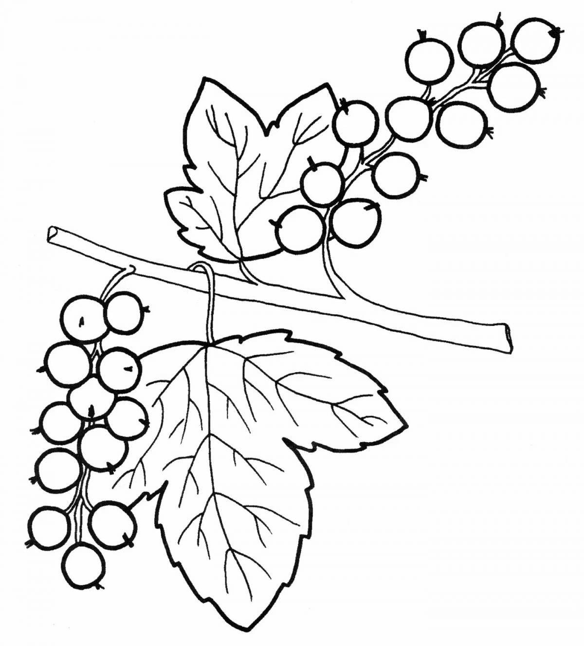Bright cherry bird coloring pages for kids