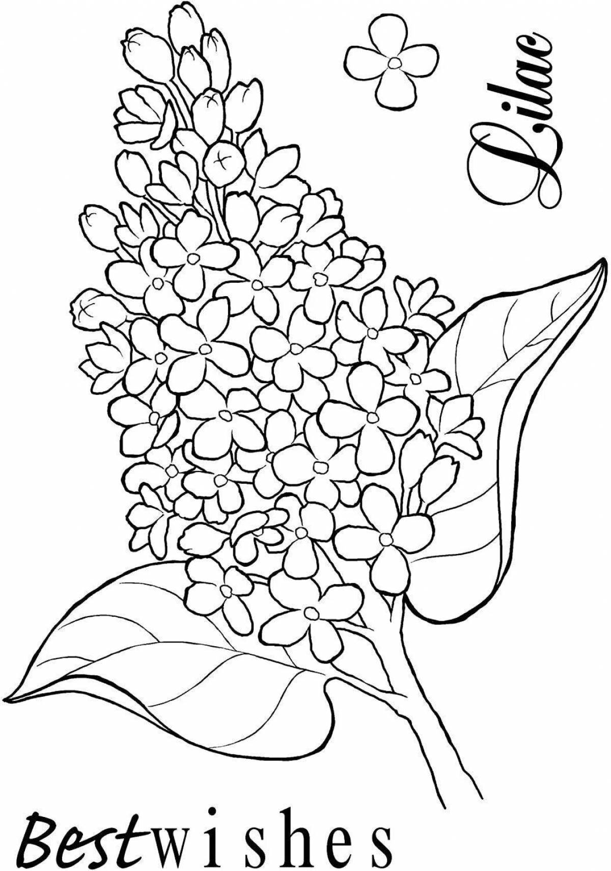 A fun cherry bird coloring book for teenagers