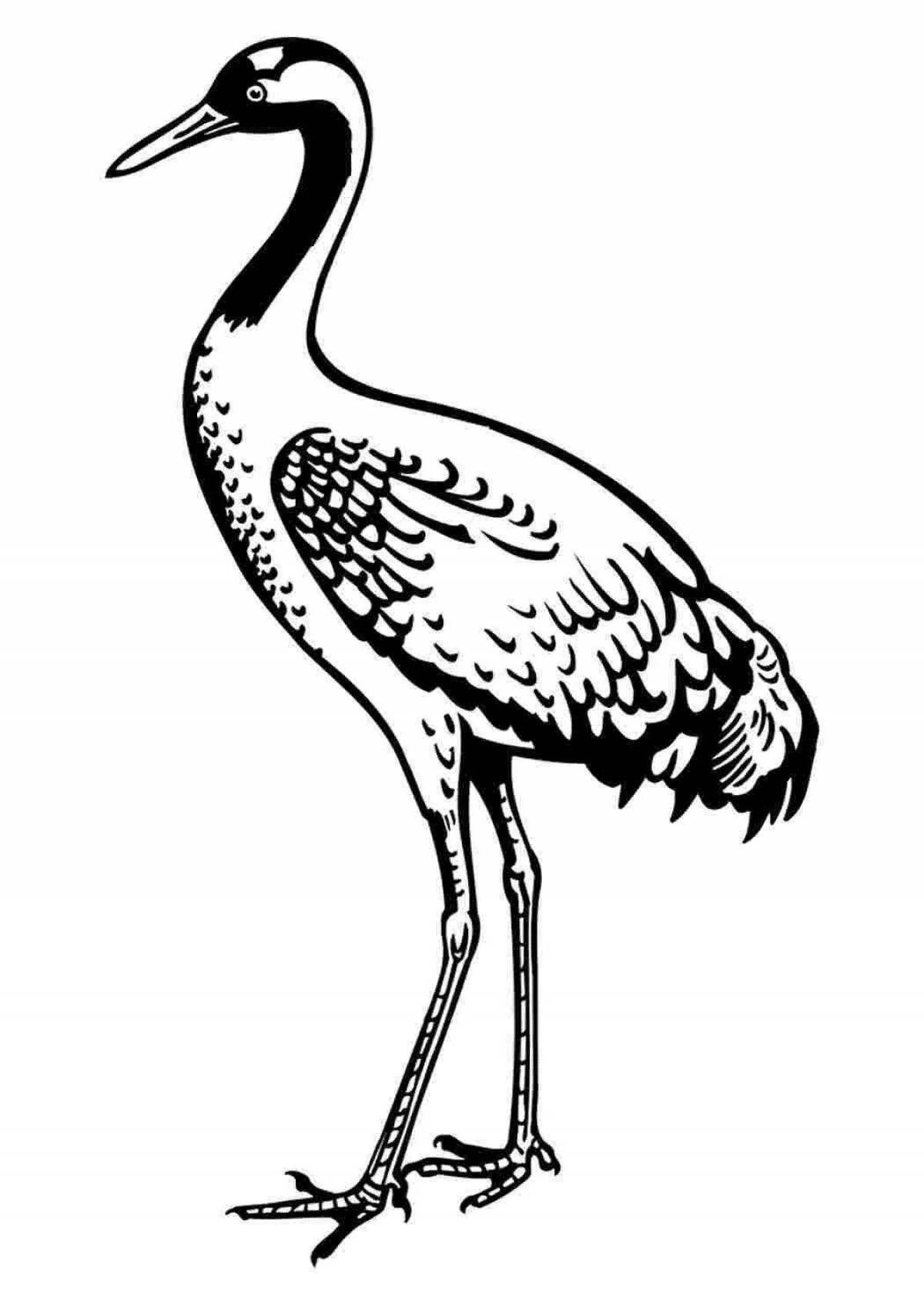 Colorful crane coloring page for kids