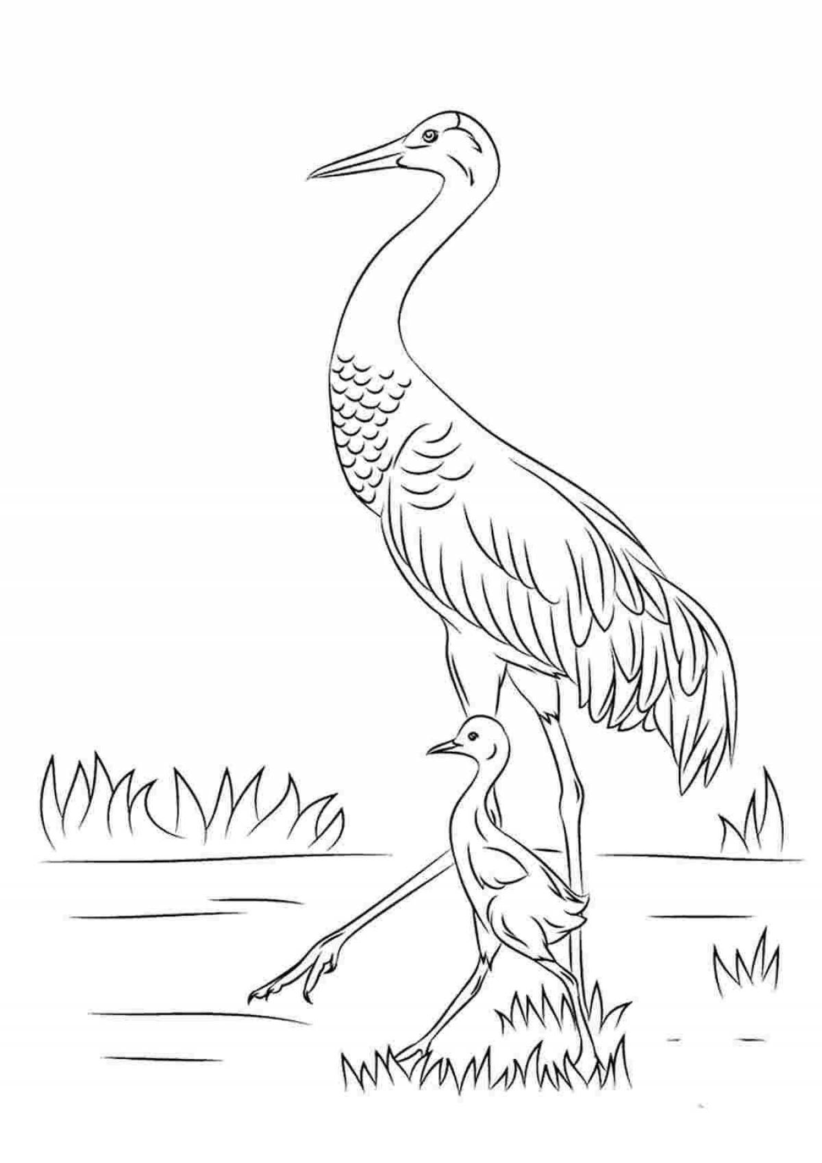 Fun crane coloring book for kids