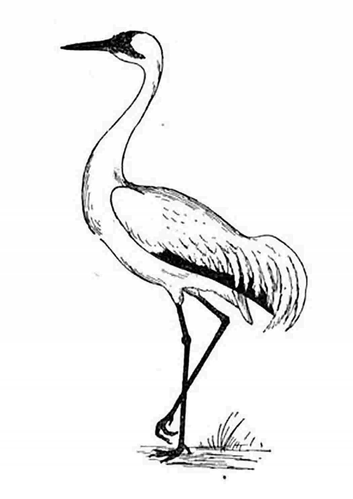 Adorable crane coloring book for kids