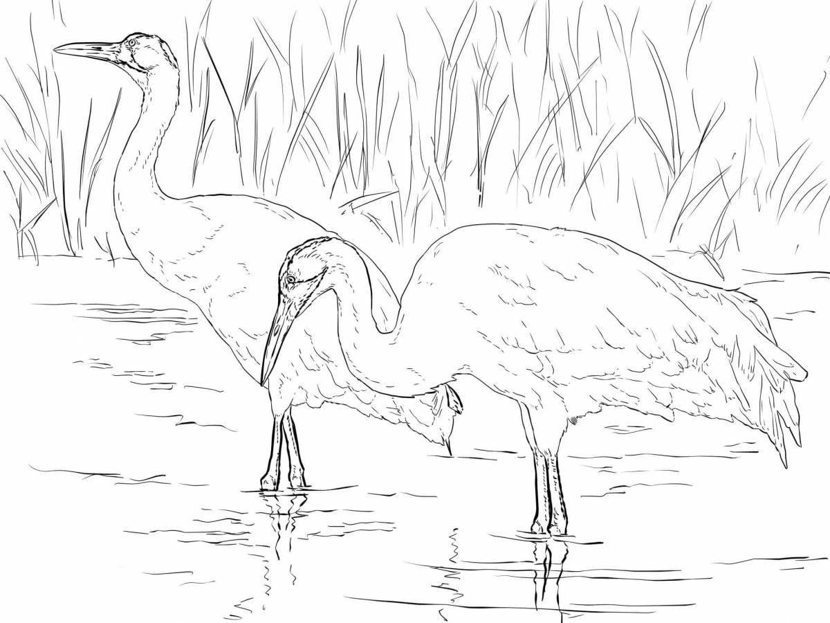 Courageous Crane Coloring Page for Children