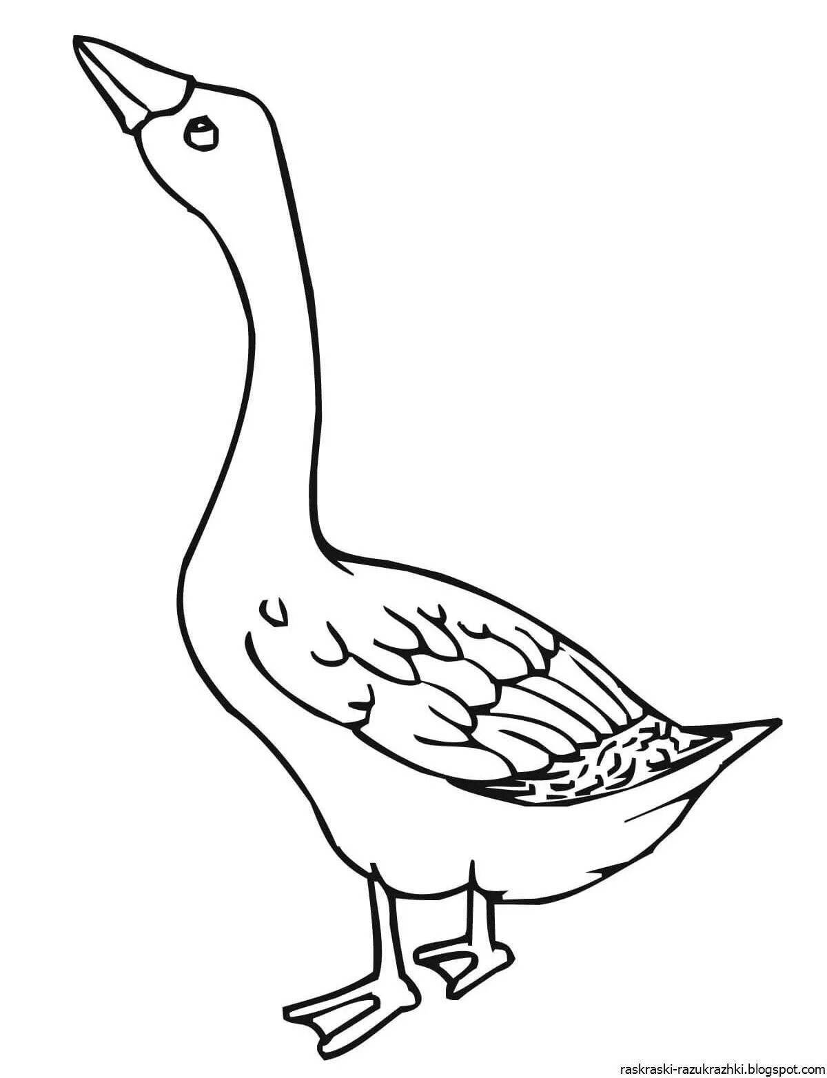 Joyful goose coloring pages for kids