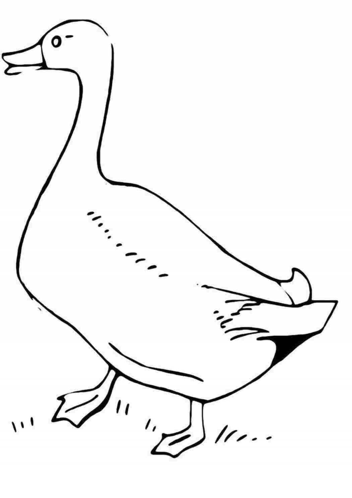 Glorious goose coloring pages for kids