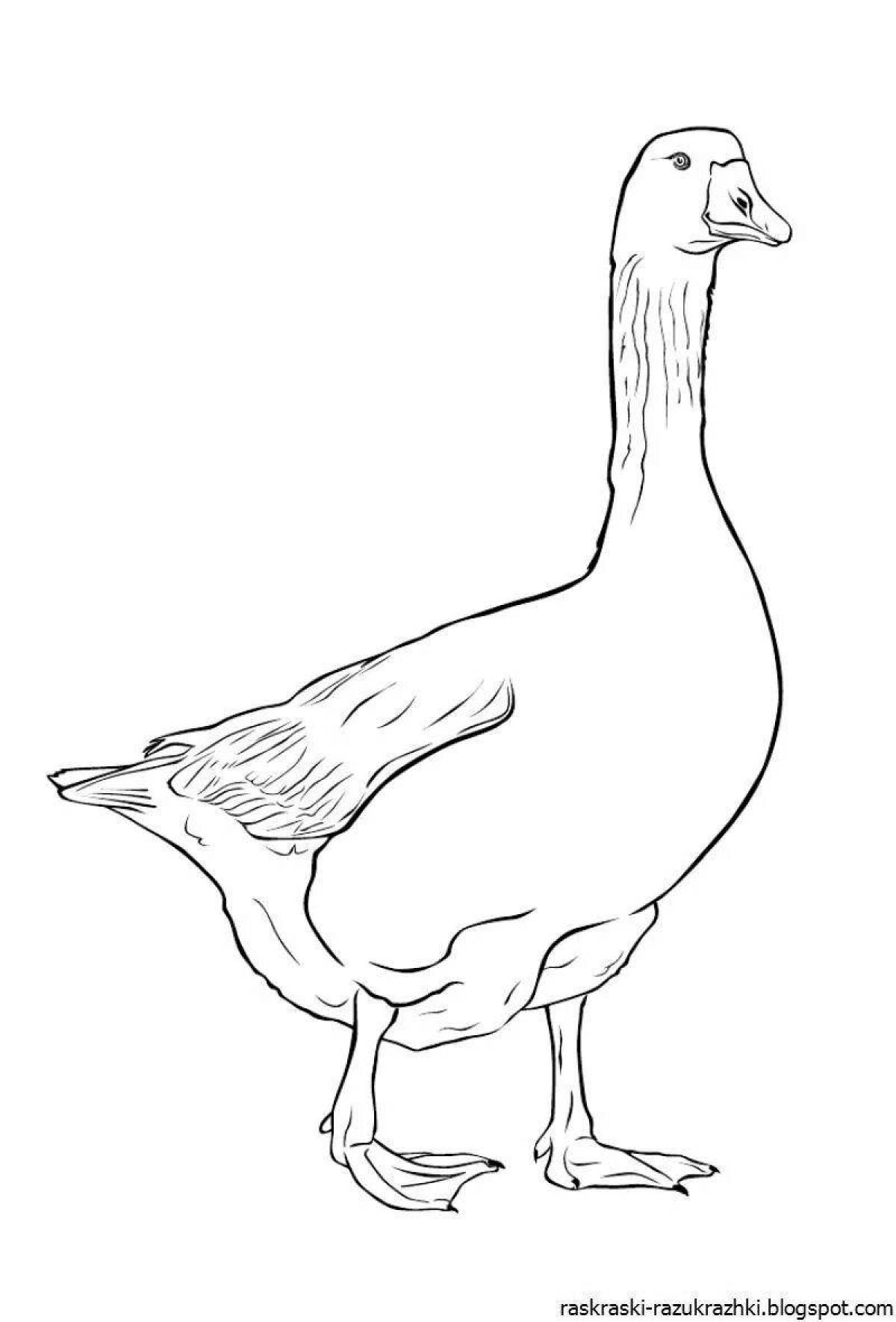 Amazing goose coloring page for kids